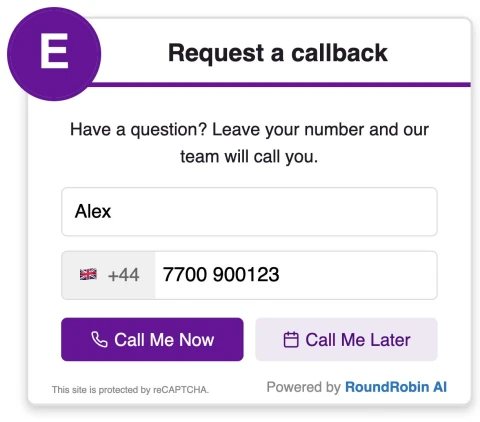 Callback widget with example branding, name and phone fields, and Call Me Now and Call Me Later options